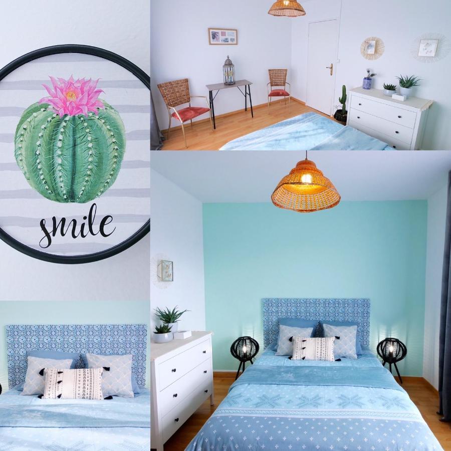 Panorama Colmar Apartament Zewnętrze zdjęcie